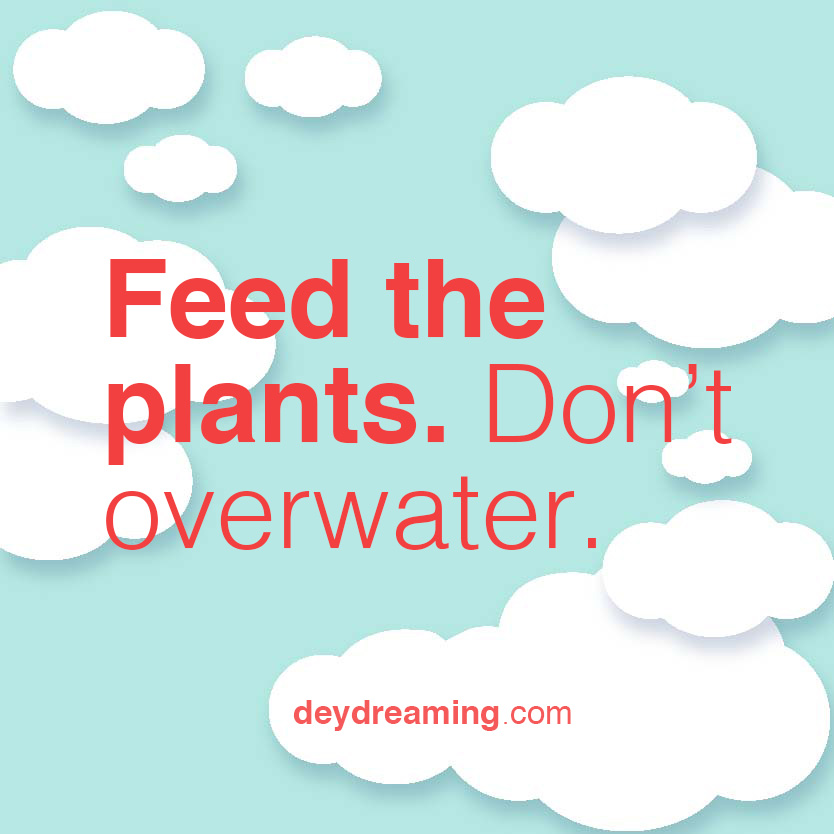 feed the plants dont overwater