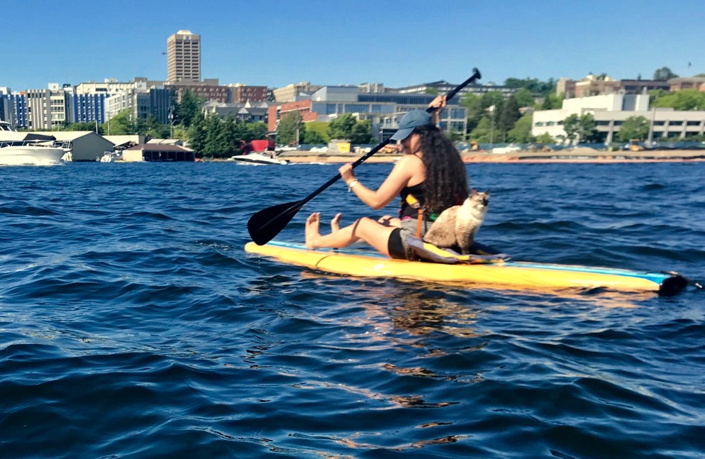 deydreaming and OMtheKitty